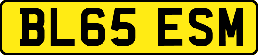 BL65ESM