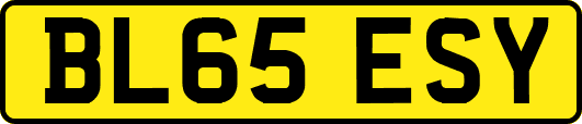 BL65ESY