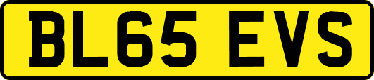 BL65EVS