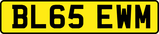 BL65EWM