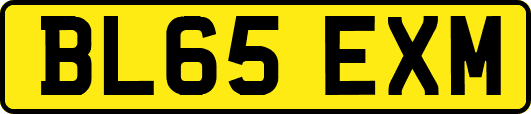 BL65EXM