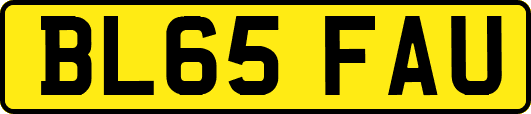 BL65FAU