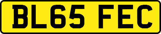 BL65FEC