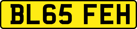 BL65FEH