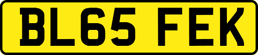 BL65FEK