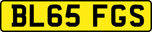 BL65FGS
