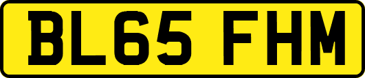 BL65FHM