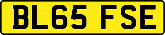 BL65FSE
