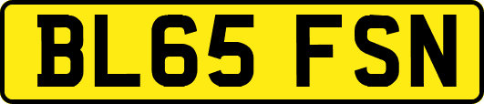 BL65FSN