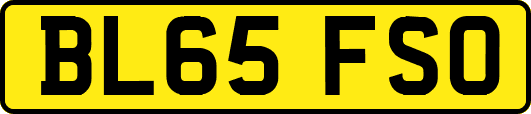 BL65FSO