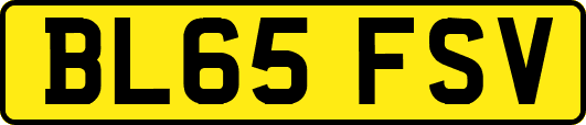 BL65FSV