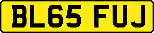 BL65FUJ