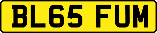 BL65FUM