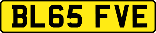 BL65FVE