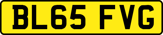 BL65FVG