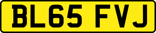 BL65FVJ