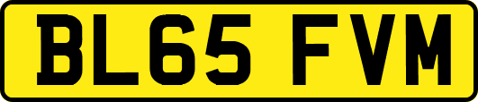 BL65FVM