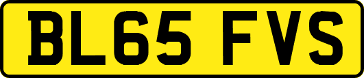BL65FVS