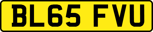 BL65FVU