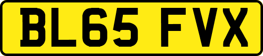 BL65FVX