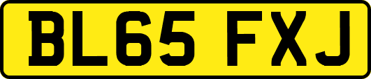 BL65FXJ