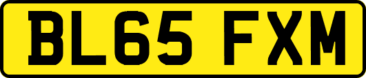 BL65FXM