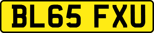 BL65FXU