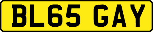 BL65GAY