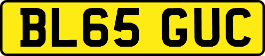 BL65GUC