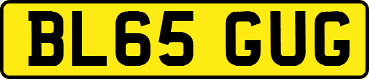 BL65GUG