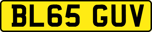 BL65GUV