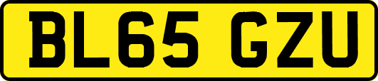 BL65GZU