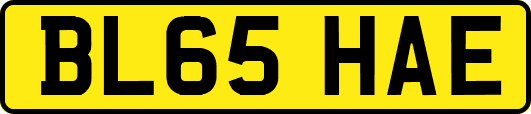 BL65HAE