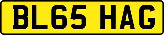 BL65HAG