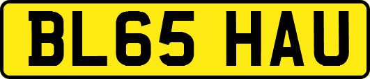 BL65HAU