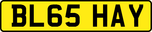 BL65HAY