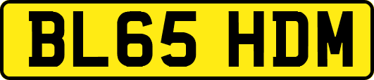 BL65HDM