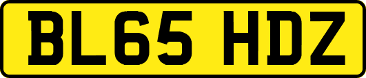 BL65HDZ