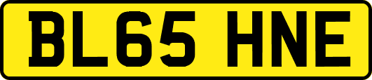 BL65HNE