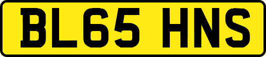 BL65HNS