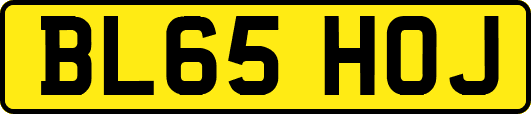 BL65HOJ