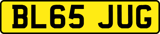 BL65JUG