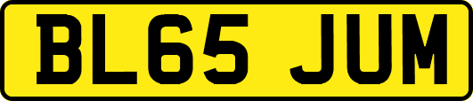 BL65JUM
