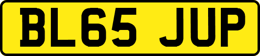 BL65JUP