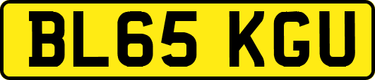 BL65KGU