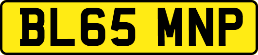 BL65MNP