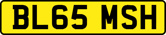 BL65MSH