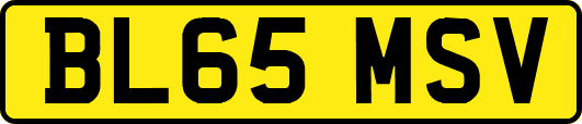 BL65MSV