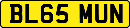 BL65MUN