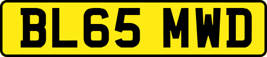 BL65MWD